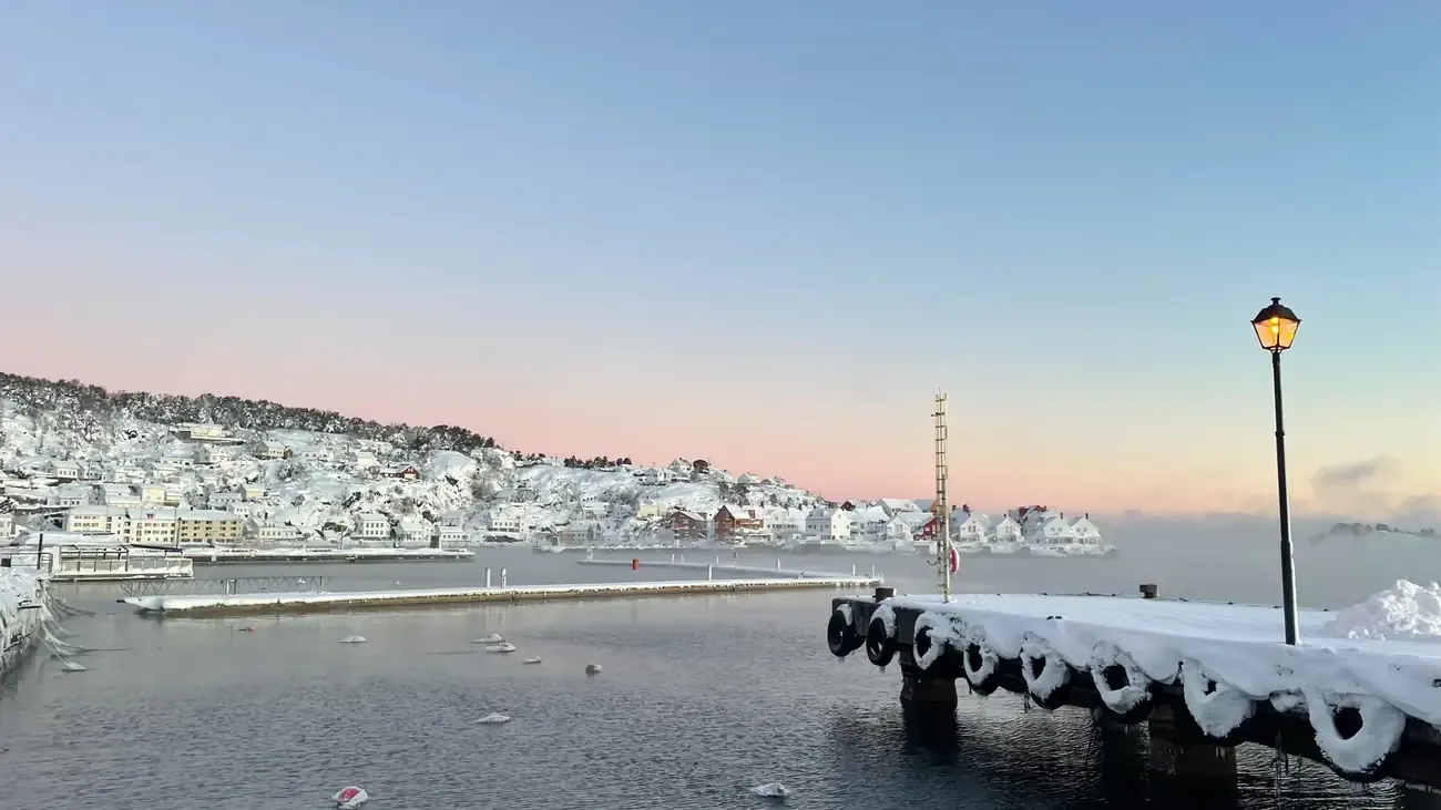 Risør harbour in winter